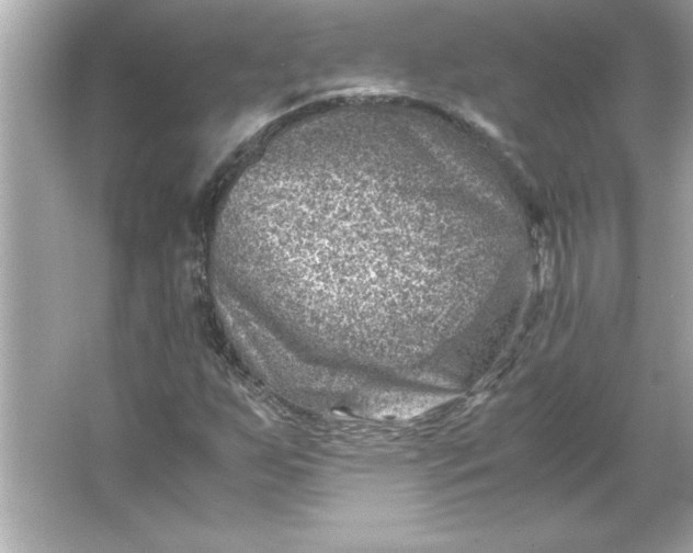 X0000066021255200603171523