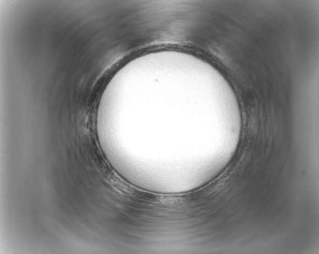 X0000066021258200603171523