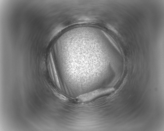 X0000066021259200603171523