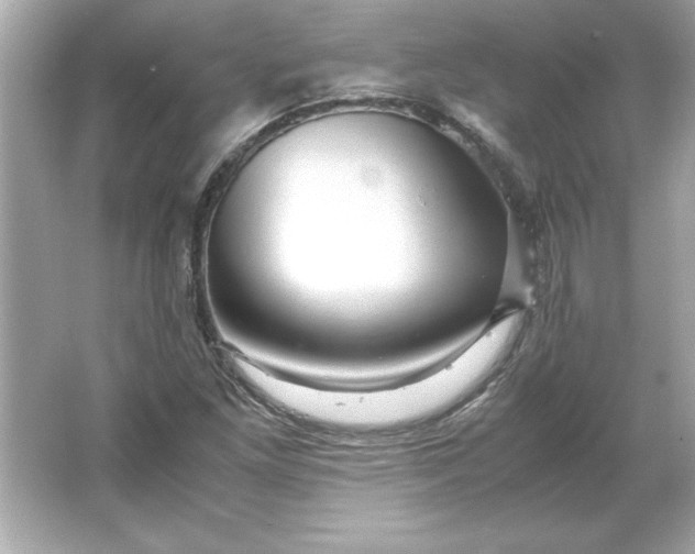 X0000066021261200603171522