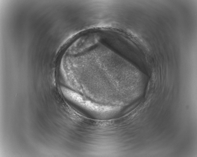 X0000066021262200603171522