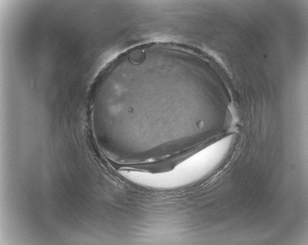 X0000066021263200603171522