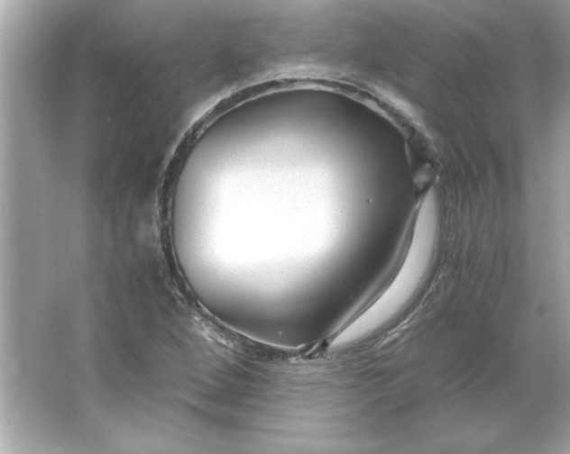 X0000066021264200603171522