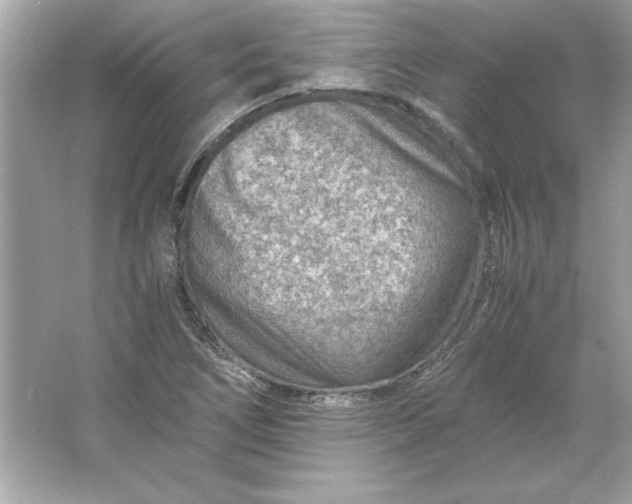 X0000066021266200603171522