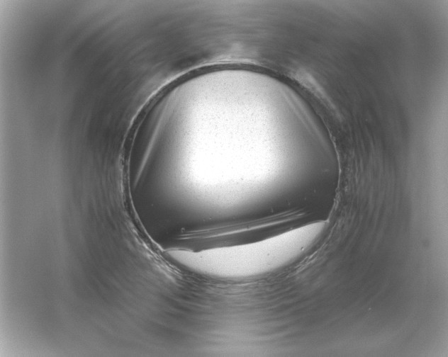 X0000066021268200603171522