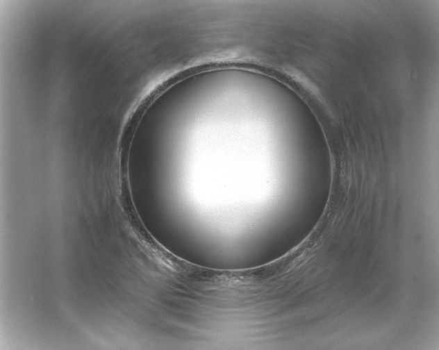 X0000066021270200603171522