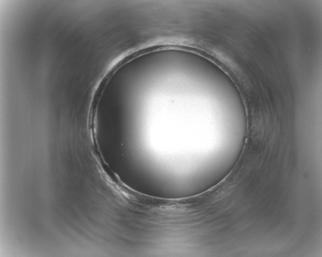 X0000066021272200603171522