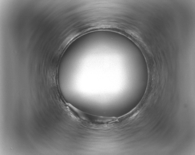 X0000066021273200603171522