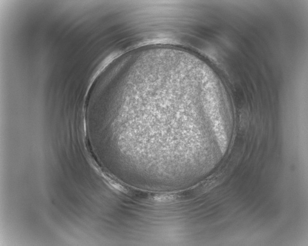 X0000066021274200603171522