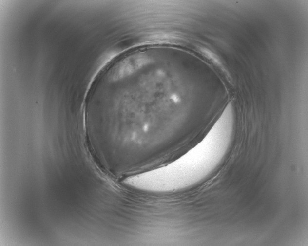 X0000066021275200603171522