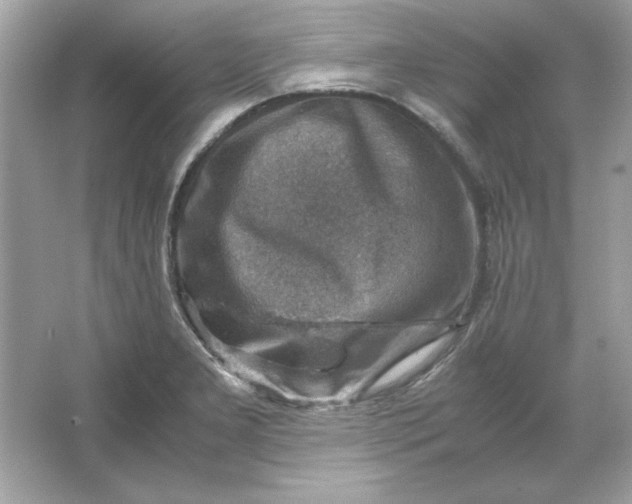 X0000066021277200603171522