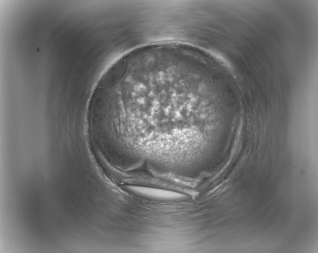 X0000066021279200603171522