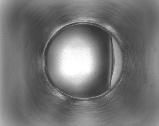 X0000066021280200603171522