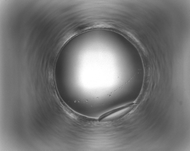 X0000066021281200603171522