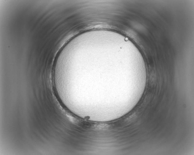 X0000066021282200603171522