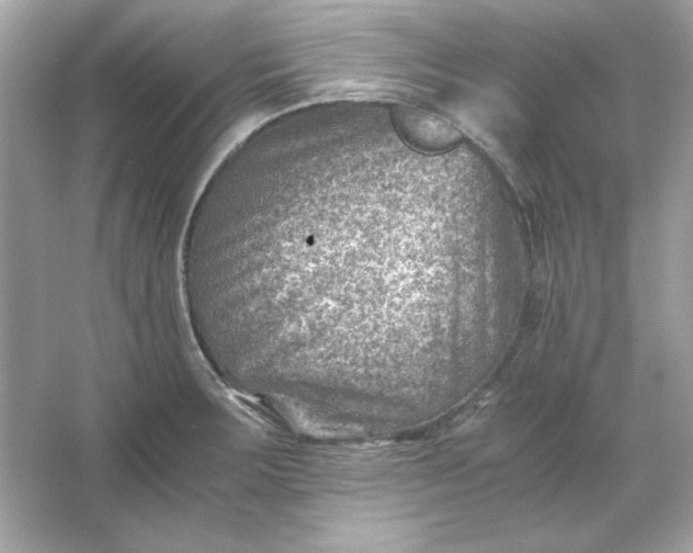 X0000066021283200603171522