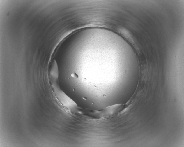 X0000066021284200603171522