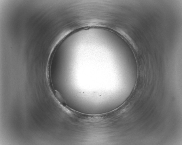 X0000066021285200603171522