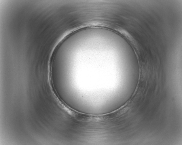 X0000066021286200603171522