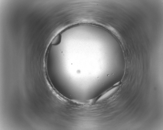 X0000066021287200603171522