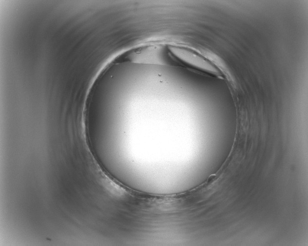 X0000066021288200603171522