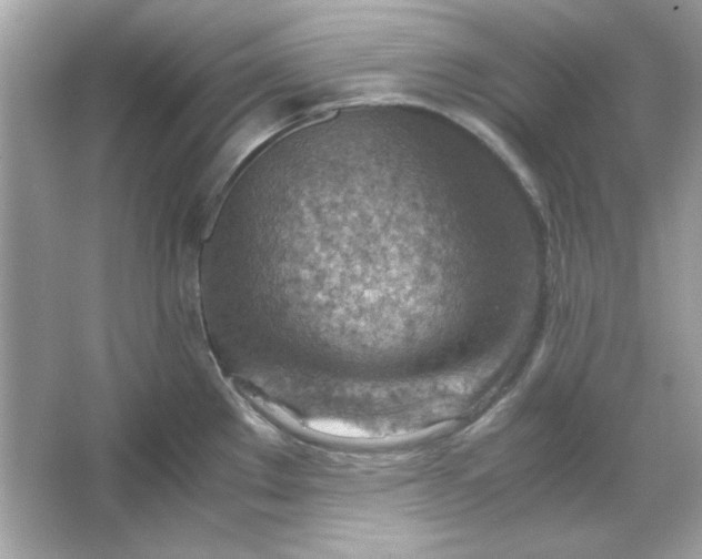 X0000066021289200603171522