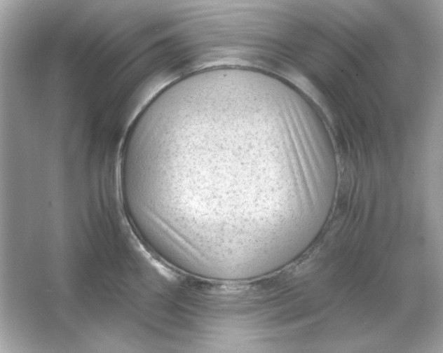 X0000066021290200603171522