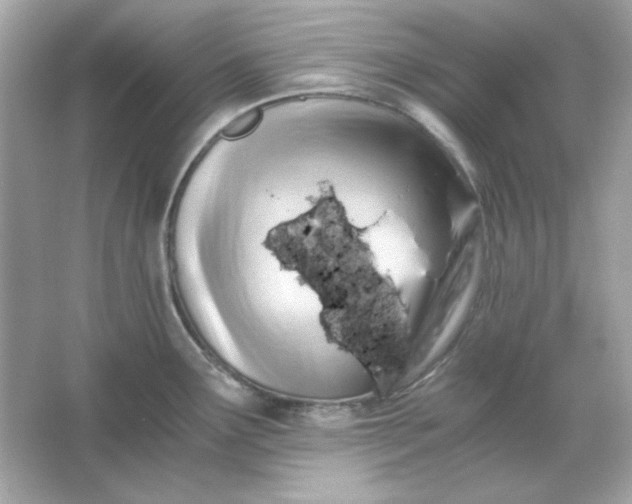 X0000066021291200603171522