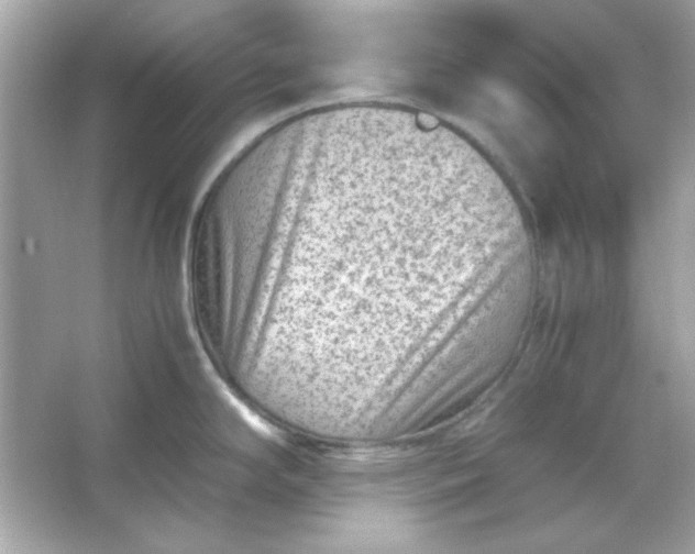 X0000066021294200603171522