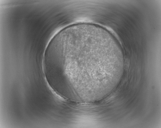 X0000066021295200603171522