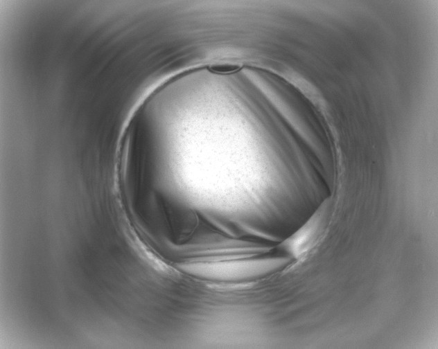 X0000066021296200603171522