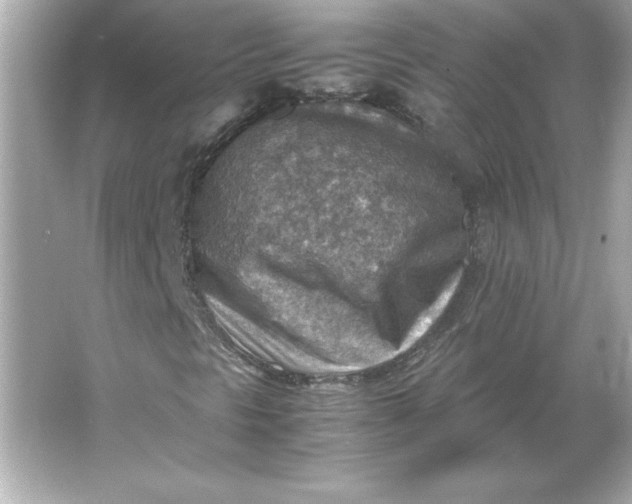 X0000066021297200603171521