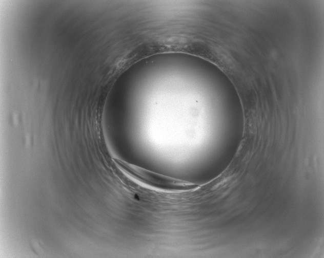 X0000066021298200603171521