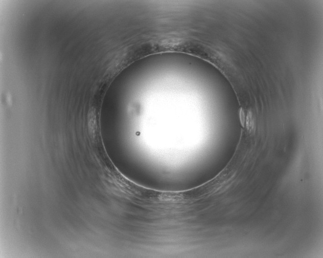 X0000066021299200603171521