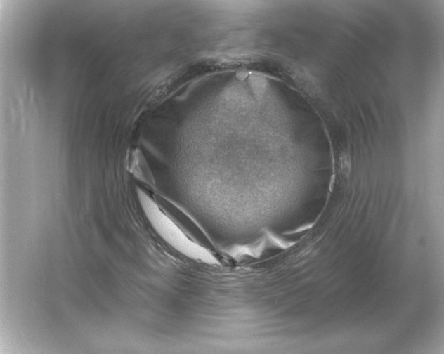 X0000066021300200603171521