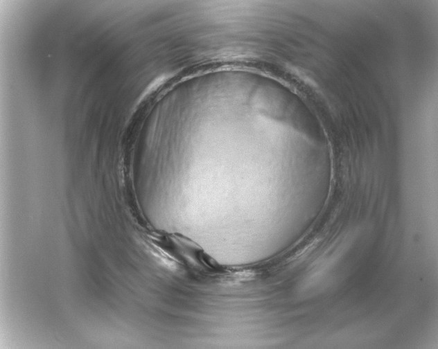 X0000066021306200603171521