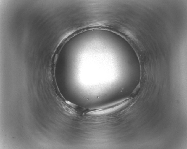 X0000066021308200603171521