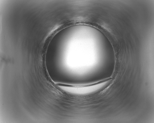 X0000066021309200603171521