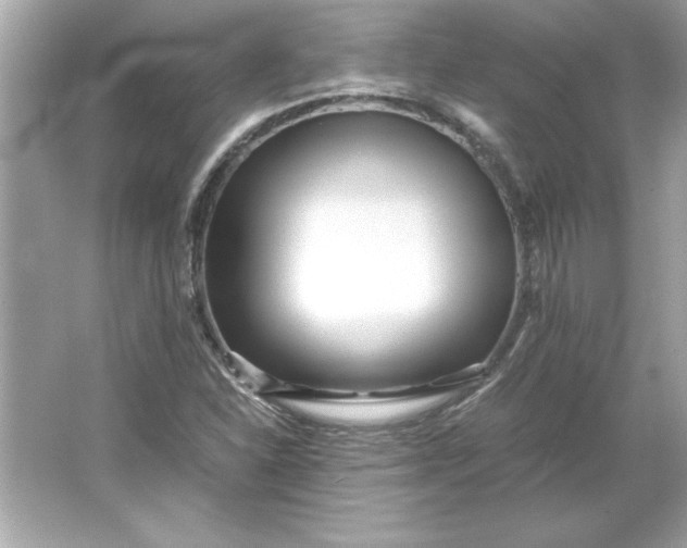 X0000066021310200603171521