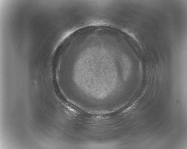 X0000066021311200603171521