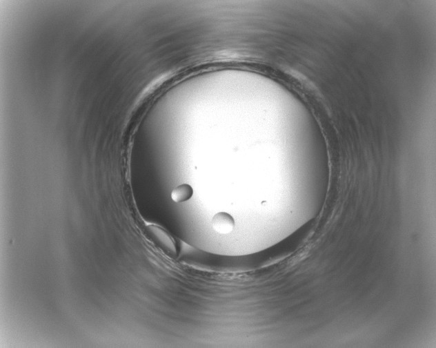 X0000066021314200603171521