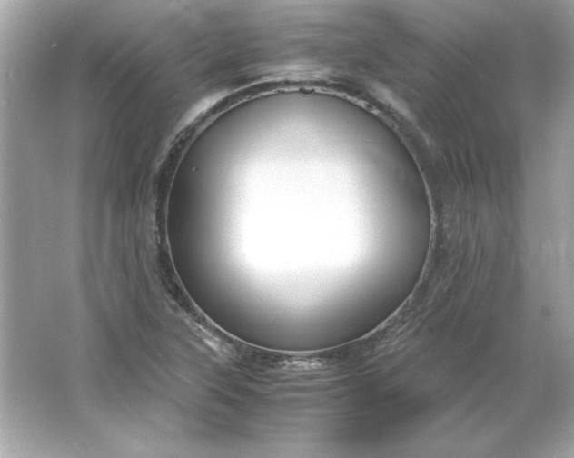 X0000066021315200603171521