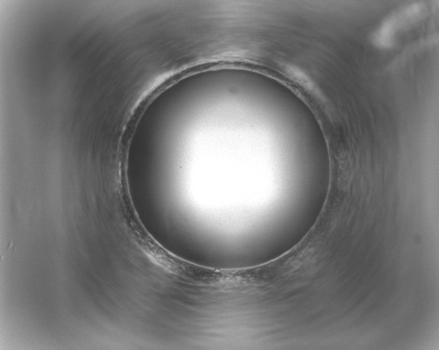 X0000066021316200603171521