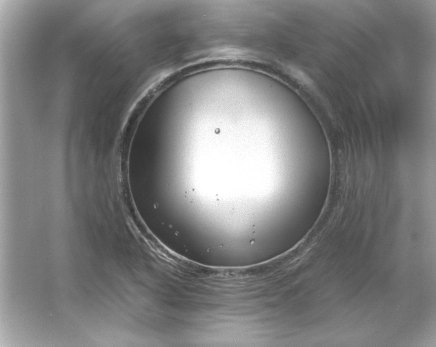 X0000066021318200603171521