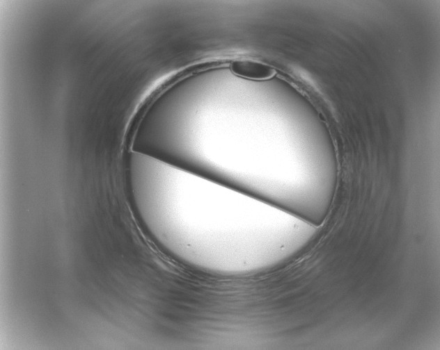 X0000066021320200603171521