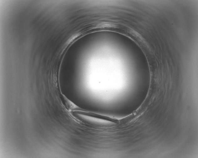 X0000066021321200603171521