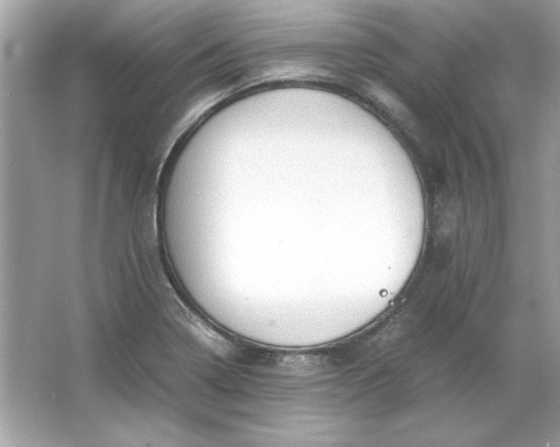 X0000066021322200603171522