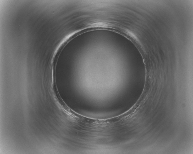 X0000066021323200603171522