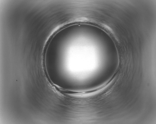 X0000066021326200603171522