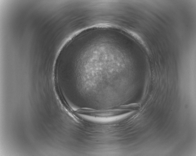 X0000066021327200603171522